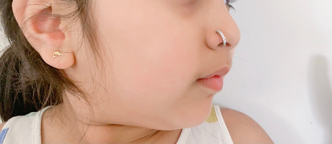 Petite Nose Pin