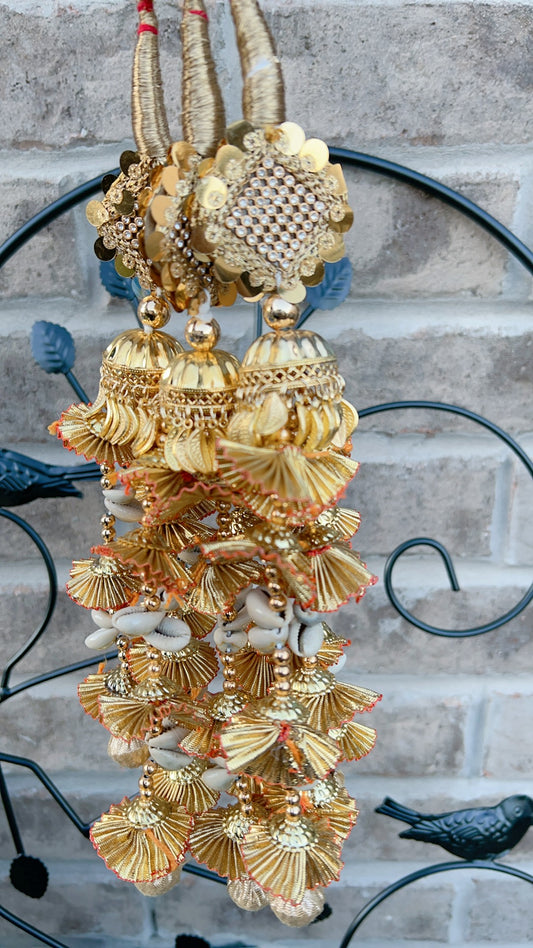 Chandni Paranda